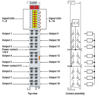 Pin assignment and LEDs 1: