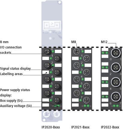IP202x-Bxxx, IE202x 1: