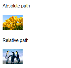 Images 5: