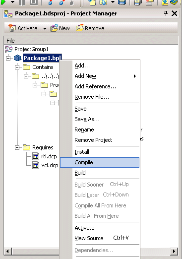 Linking to Borland Developer Studio 2006 (VCL for Delphi Win32) 11: