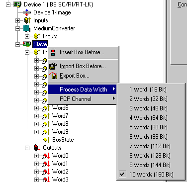 Phoenix IBS SC/I-T and IBS SC/RI/RT-LK 10: